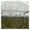 High quality cheap price agricultural indoor solar greenhouse with tent