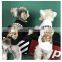 Dog Clothes Summer Thin Style T-shirt Little Bear Short Sleeve Shirt Teddy Dog Schnauzer Corgi Pet Clothes