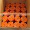 China Supplier LZX fitness Gym Equipment Various yoga mats and yoga supplies