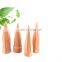 Best selling Plant watering Terracotta Spike for Garden