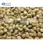 Sinocharm BRC-A Approved IQF Chestnut  Frozen Whole Peeled Chestnut