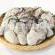 IQF frozen oyster meat frozen china oyster meat