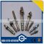 China Supplier Top Quality Galvanized Expansion Anchor Bolt