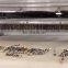 Chocolate Production Line Biscuit Stick dipping Machine Pocky enrober