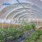 Cheaper Price Agricultural  HDPE Material  Anti Insect Net For Farm