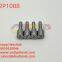 142P1088 High Quality Diesel Fuel Injector Nozzle Common Rail (F 002 C40 530)DSLA142P1088