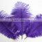 14"-16" Wholesale Purple Ostrich Feather Fabric For Ostrich Feather Fan Decoration