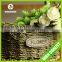 Handmade Wicker Basket Home Decoration Flower Basket With Hanging