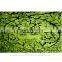 Customize Design Wall Tapestry father of nature