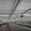 Agricultural Greenhouse Seedbed for nursery