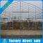 Small size and greenhouse for tomato,single-span agricultural greenhouses type plastic greenhouse