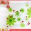 wholesale glass plate apple,banana square glass printed plate