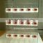 Custom Acrylic Contact Lenses Display Cases with logo