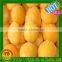 Frozen fruits IQF raspberry A grade