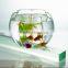 New Pattern Beautiful Acrylic Product Such as Chairs Box Case and Raw Material