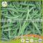 Vegetables New Season Frozen Whole and Cut Green Beans