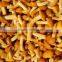 mushroom 2014 canned mushroom mushroom farm for sale