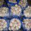 YUYUAN brand hot sail fresh garlic garlic importers