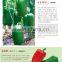 high yield F1 hybrid sweet pepper red pepper seeds