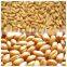 Grain drying systems | portable grain dryer | brock grain dryers