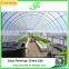 Plastic Arch Greenhouse for Sale