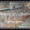 Wholesale and Retail Dried Freshwater Shrimp