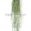 Artificial Design Ornament Light Green Root in Hot Sale LGH15-30