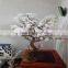 2017 hot sale mini artificial cherry blossom tree for weddings table tree