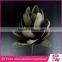 Manufacturer Wholesale Artificial Small Plant /decorative Cheap Artificial Succulent Plants Tropical Plants