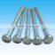 2 ''Concrete Nails/Cement Steel Nail from Guangzhou Supplier