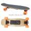 HSJ94 Outdoor powerful 4 wheels sport fish electric skateboard small fish plate