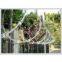 Sell Razor Barbed Wire