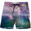 men fast dry claw beach shorts/ blue l na creative plus size beach shorts with pockets / printed sports beach wear