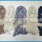 Latest new design women's lace embroidery scarf
