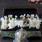 Fashion Bride Headband Wedding Jewelry Set Mori Bridesmaids Headdress Accessories