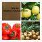 52% Amino Acid Fertilizer Powder/Amino Acid/Amino Acid Agriculture/Amino Acid Powder/Organic Fertilizer