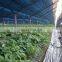 2 m x 50 m garden shade crop netting/scaffold debris plant fence