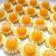 Automatic date filled maamoul moon cake  machine/pineapple tarts forming machine/stuffed cookies making machine