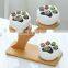 Simple White Creative Succulents Ceramic Cute Kitten Claw Treetop Planter Bamboo Stand Combination Potted Flowerpot