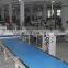 Ruipuhua Plastic Bag 3 Side Sealing China Food Packaging Machine Packing Machinery Wafer Automatic Line