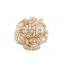 Byloo Good Quality Top Selling Pine Nuts Chilgoza Available In Custom Packing afghan pine nuts