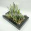 Indoor decorative artificial plants cactus and succulent series with oblong pot