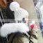 Wholesale Fashion Ladies Printed Real Fur Detachable Pom Pom Beanie Cap