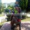 Life-size moving realistic museum exhibition animatronic dinosaur