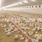 Full Set High Quality Automatic Poultry Feeder and Drinker Equipment