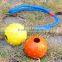 Hot sale pet product, pet cotton rope toys,rope dog toy with rubber ball