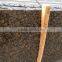 China baltic brown granite polished