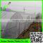 high quality anti insect net with compectitive price