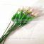 New arrival real touch PVC flowers tulips with scent artificial tulip