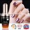 Bottle Warehousing Provided Different Size Packaging Cat Eye Nail Polish Trends